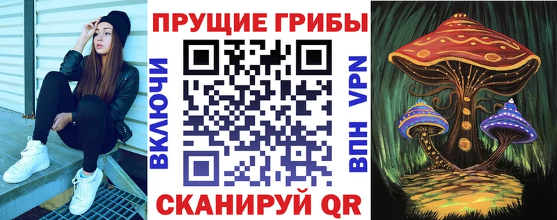 Галлюциногенные грибы Magic Shrooms  это наркотические препараты  Богучар  купить закладку 